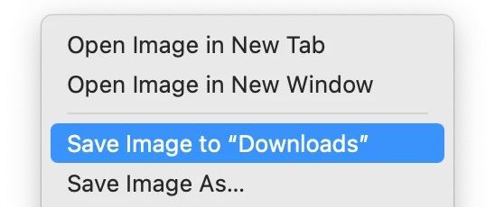do-you-have-a-need-to-have-save-image-to-downloads-v0-osxoph5ax8le1.jpeg