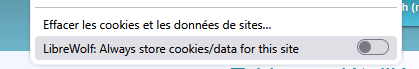 Capture d'écran 2025-04-08 155839.png