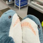 Shark_7749