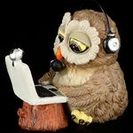 owlish