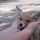 Foxist