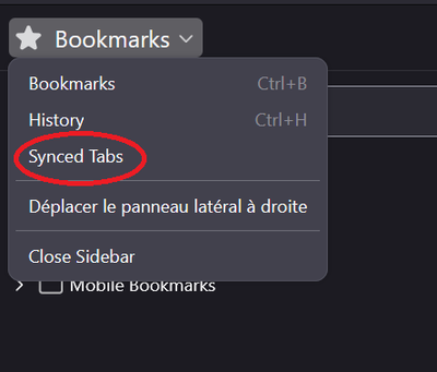 Capture d'écran 2025-11-13 111324.png