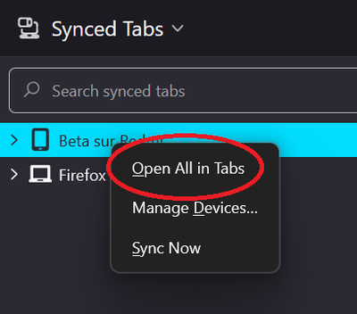 Capture d'écran 2025-11-13 111345.png