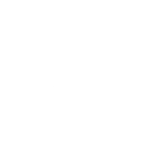 pRAYLx3