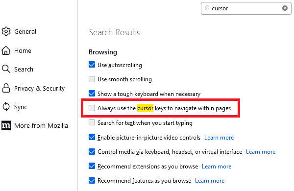 Fx102-settings-caret-browsing.png