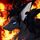 Sin_Shadow_Fox