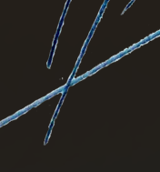 andriir_0-1778401920462.png