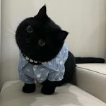 jerryya