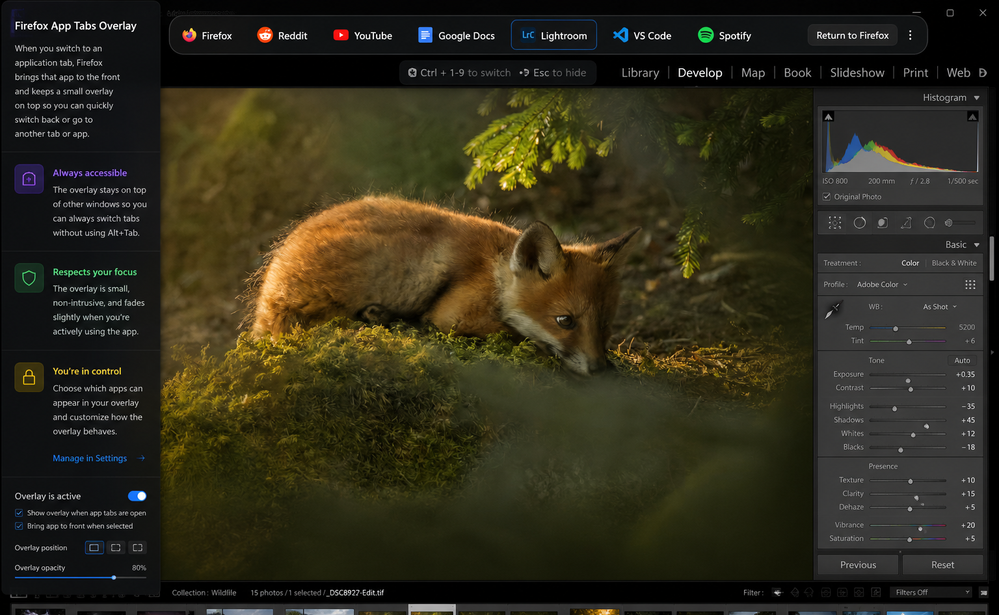 Firefox Workspace Overlay Mockup.png
