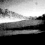 casvb7777