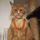 John_Browser
