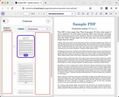With smaller sized browser windows "Pages" in the PDF viewer take up about half the available width. The page previews themselves are about half width of the "Pages" tab
