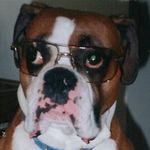 Buddyboy1