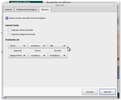 The entry in the system window and the footer and others always indicate the same thing, even if one changes them. You must to do the changes EVERY TIME you want to print.