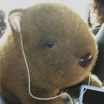 Wise_Wombat