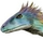 AzureRaptor