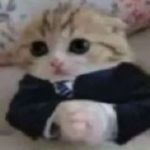Kremson