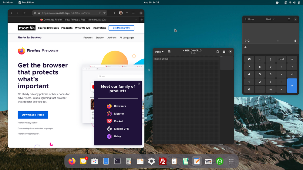 Firefox with a GTK4 Theme among other apps.